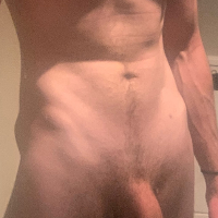greybeardAvatar de